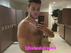 10incheshairycock