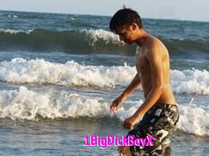 1BigDickBoyX