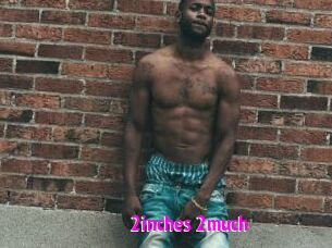 2inches_2much