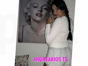 ANDREARIOS_TS