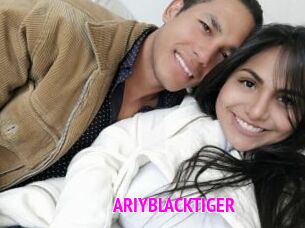 ARIYBLACKTIGER