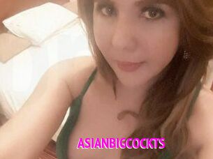 ASIAN_BIGCOCK_TS