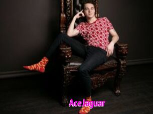 AceJaguar