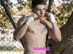 AdamBull Porn Loverz