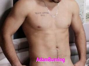 AdamBurning