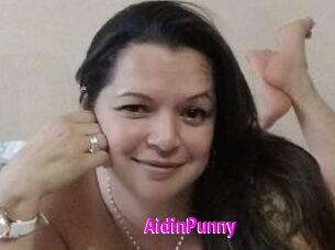 AidinPunny