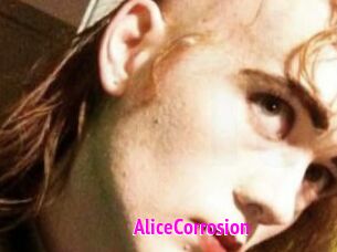 AliceCorrosion