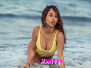 AlicePipp
