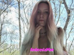 AmbrosiaMae