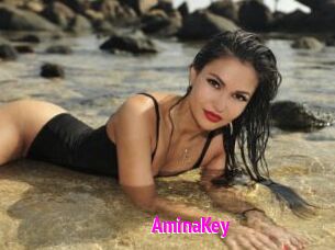AminaKey