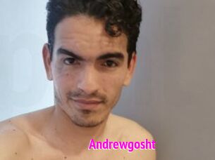 Andrewgosht