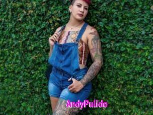 AndyPulido