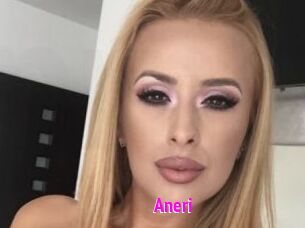 Aneri