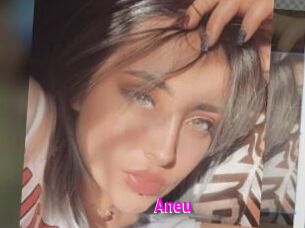 Aneu