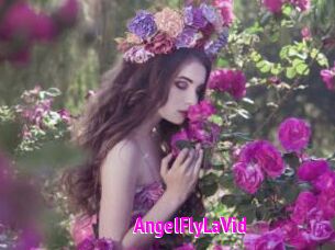 AngelFlyLaVid