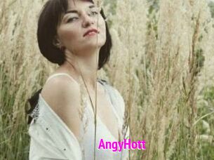 AngyHott