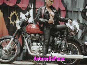 AntonellaParac