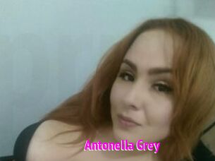 Antonella_Grey