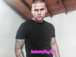 AntonyBigAss