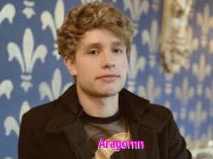 Aragornn