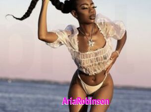 AriaRobinson Porn Loverz