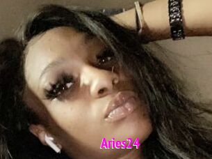 Aries24