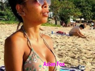 Asian_Fox