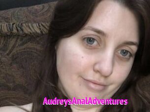 AudreysAnalAdventures
