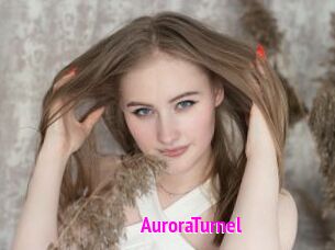 AuroraTurnel
