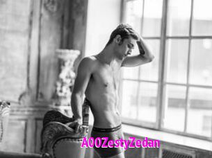 A00ZestyZedan