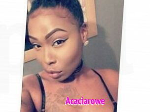 Acacia_rowe