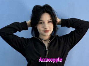Accacopple
