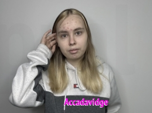 accadavidge Porn Loverz