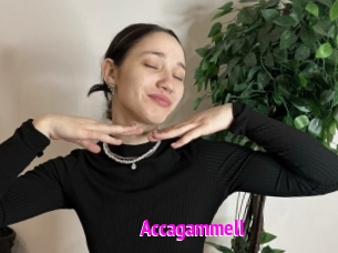 Accagammell