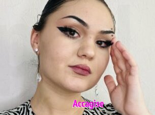 Accagise