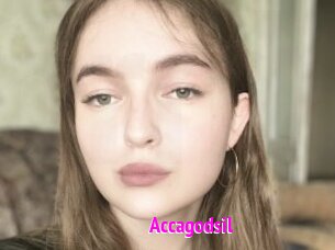 Accagodsil