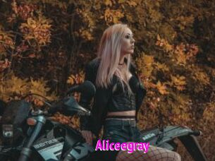 Aliceegray