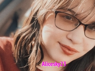 Alicesky23
