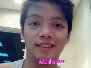 Allen_hornet