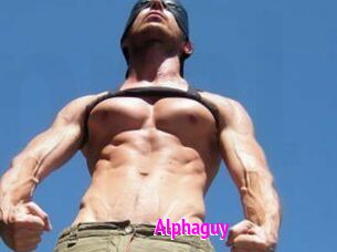 Alphaguy