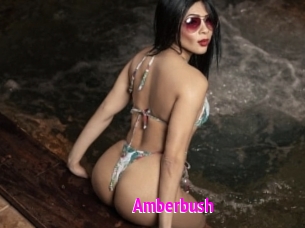 amberbush Porn Loverz