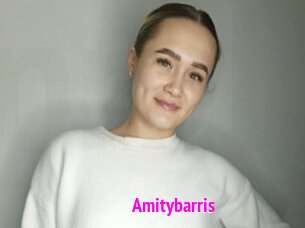 Amitybarris