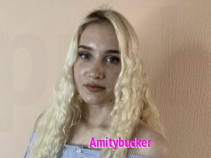 Amitybucker