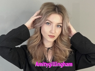 Amitygillingham