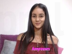 Amyrosses