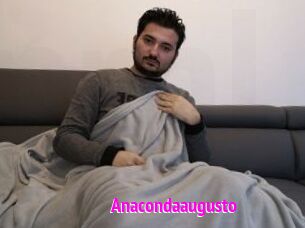 Anacondaaugusto
