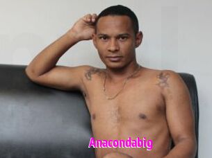 Anacondabig