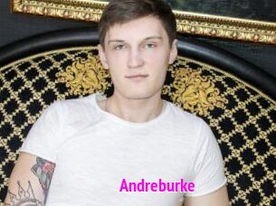 Andreburke