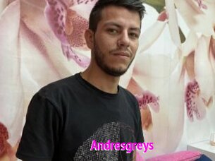 Andresgreys
