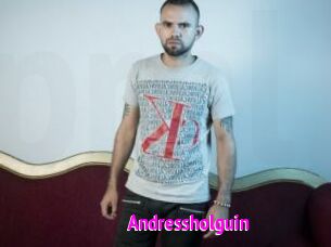 Andressholguin